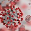Covid-19 Virus