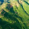 Aerial drone shot of palm plantation on high mountain 