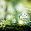 Concept of reducing CO2 emissions and carbon footprint to limit global warming and climate change on green nature background