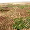 Securing sustainable and resilient food systems for The Gambia
