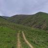 Path