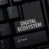 digital ecosystems