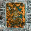 green city