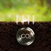 carbon farming