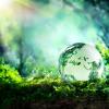 Globe on moss