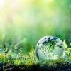 Environmental Concept- Globe On Moss In Forest