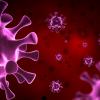 Corona Virus