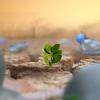 Climate change impacts