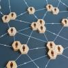 network people