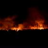 Forest fire at night