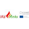 FireLinks Logo