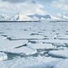 Arctic