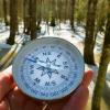 Forest in background with hand holding compass in front