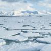 Arctic