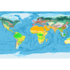 Global habitat maps