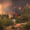 Wildfire