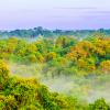Morning fog over rain forest in Colombia