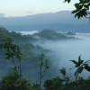 Osa Peninsula, Costa Rica