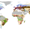 Global Foodscapes