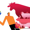 Biomass distribution