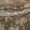 Aerial over a narrow stream with strong current on dry land.
