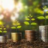 Environment and finance