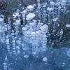 Methane bubbles frozen into the ice on the surface of a mountain lake