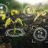 Smart digital agriculture technology concept with sprout in soil and AI data