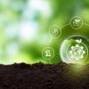 policy  brief 42