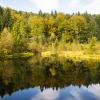 beautiful autumn panorama of the Carpathians Ukraine-lake, forest.