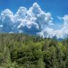 View of forests on the Carpathian Mountain slopes in Ukraine.