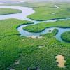 Amazon Brazil