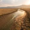 Climate