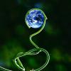 Green stalk curving around planet Earth