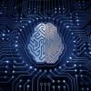Artificial intelligence concept with brain in network.