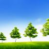 Trees