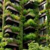 climate adaptation