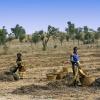 nature based solutions