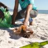marine litter