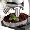 plant microscope