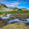 Biodiversity Monitoring Europe