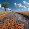 Water scarcity