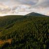 Pec pod Sněžkou, Hradec Králové Region, Czechia; Aerial Photo of Forest Across Mountain