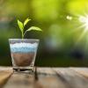 Phosphorus_Fertilizer