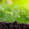 Agriculture technology concept with green seedling