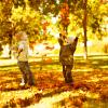 Children playing with autumn fallen leaves in park