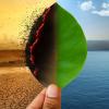 Climate change contrast projected on leaf