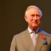 Picture of King Charles