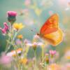 biodiversity