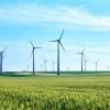 Wind turbines in a green wheat field 